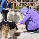Dünya Sokak Hayvanları Günü'nde Trabzon Beşikdüzü Sokakları Canlanıyor: "Hayat Onlarla Çok Daha Güzel" Projesi Hayata Geçirildi.