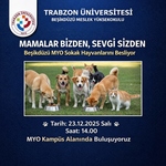 Trabzon üniversitesi