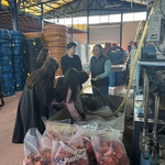 “Plastik Atıkların Geri Dönüşüm Yoluyla Sosyal Faydaya Aktarılması: Dış Ticaret Bölümü Gönüllülük Çalışmaları